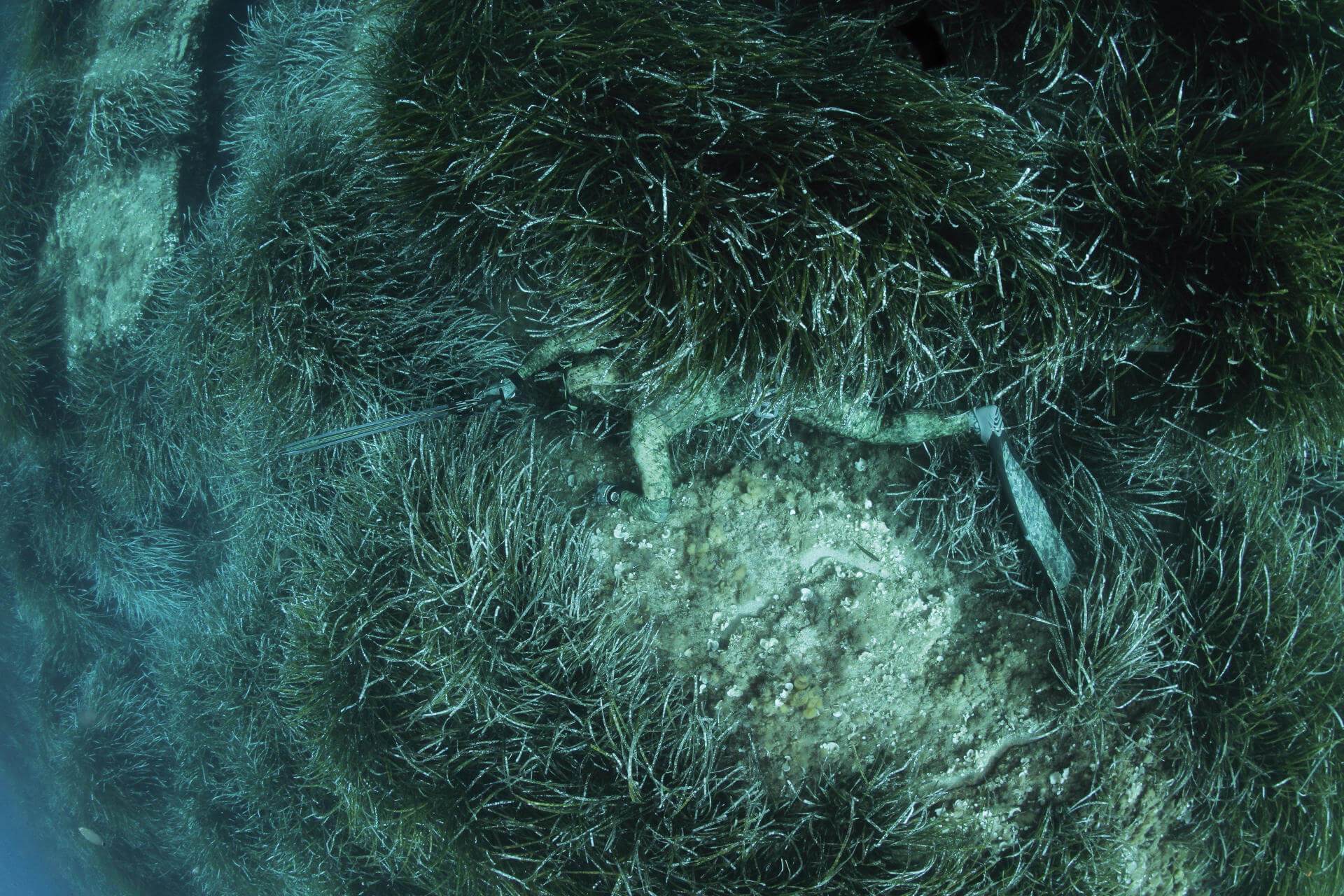 Learn to Scuba Dive in Adelaide PADI 5* Dive Centre The Dive Shack