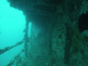 HMAS Hobart, Local Dive Sites, the dive shack, snorkel safari, adelaide, scuba, diving, snorkelling, spearfishing, freediving