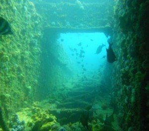 The Dredge, Local Dive sites, the dive shack, snorkel safari, adelaide, scuba, diving, snorkelling, spearfishing. freediving