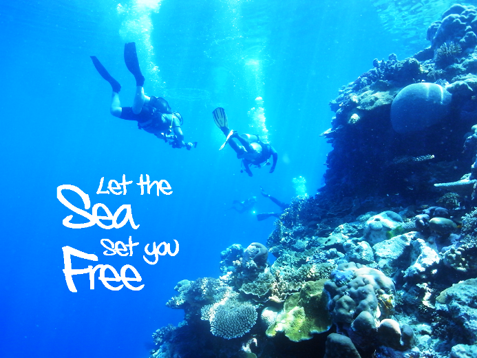 Let the sea set you free, dive travel, The dive shack, snorkel safari, adelaide, scuba, diving, snorkelling, spearfishing, freediving