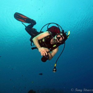 Paul Zuromski, The Dive Shack, Snorkel Safari, Adelaide, scuba, diving, snorkelling, spearfishing, freediving