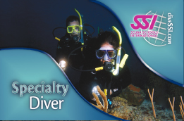 card---course-specialty-diver