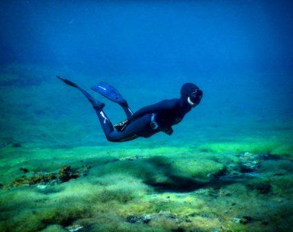 Freediving, the dive shack, snorkel safari, adelaide, scuba, diving, snorkelling, spearfishing