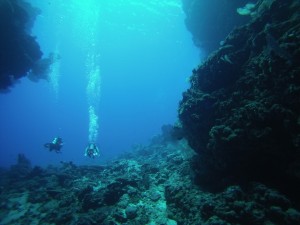 Leru Cut, Solomon Islands, the Dive Shack, snorkel safari, adelaide, scuba, diving, snorkelling, spearfishing, freediving