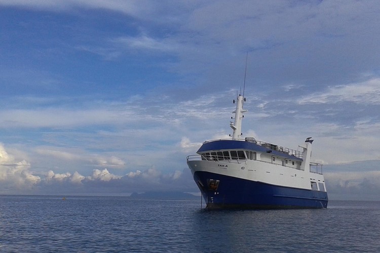 Taka - Solomon Islands, the Dive Shack, snorkel safari, adelaide, scuba, diving, snorkelling, spearfishing, freediving